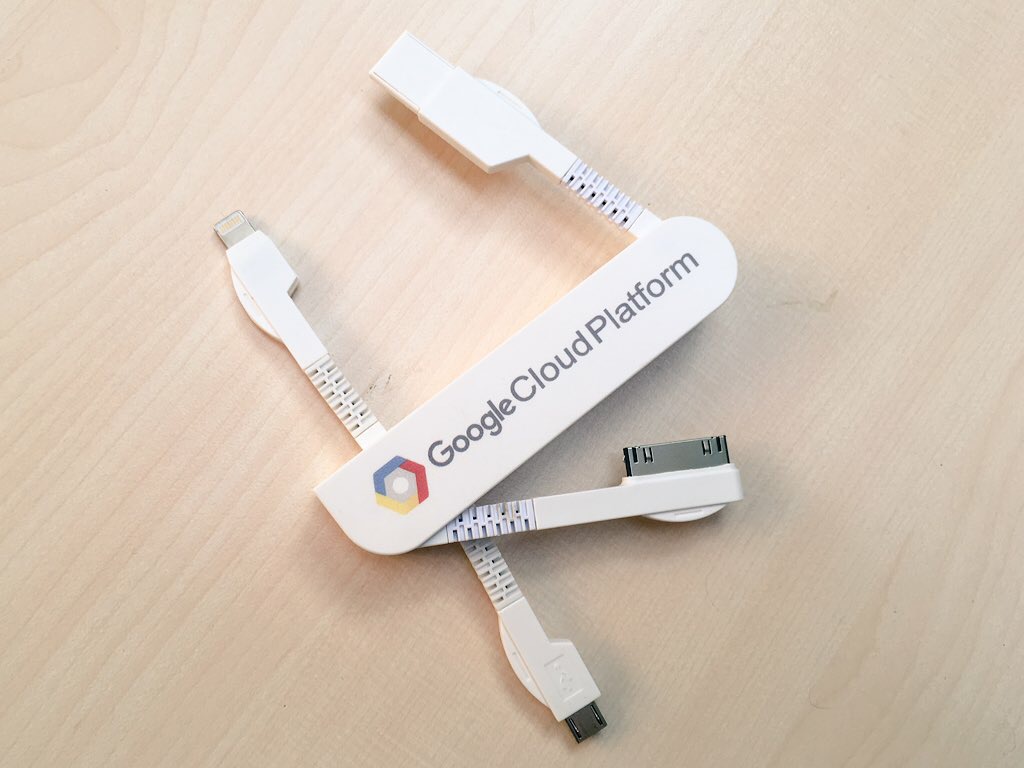 Google Goodie - Multi Charger