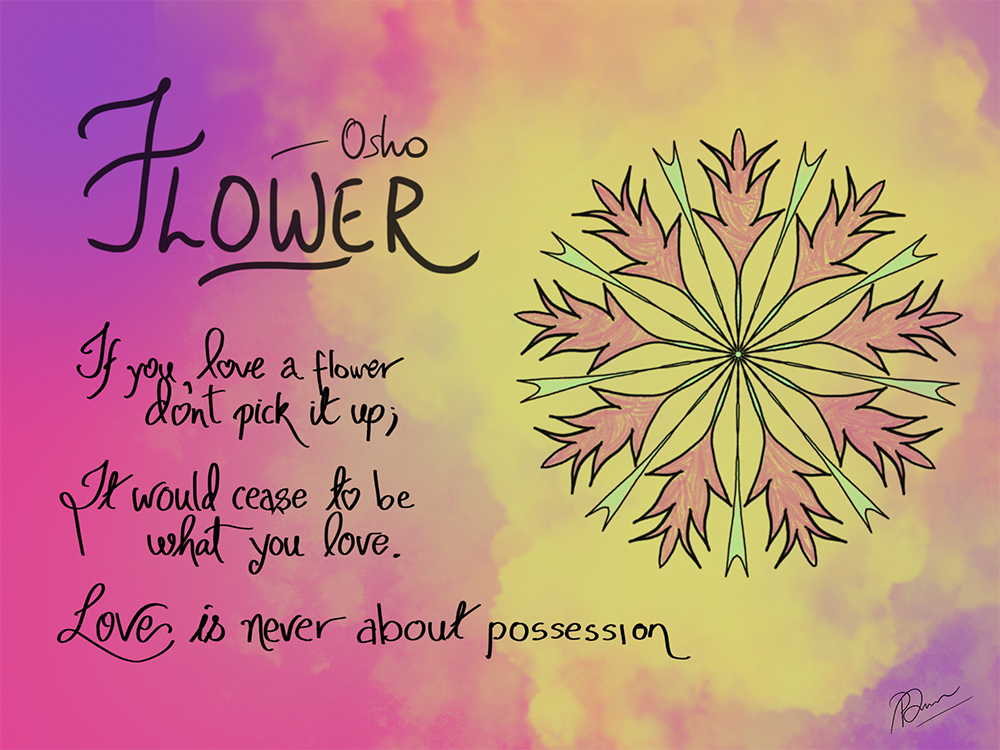 flower--ipad-painting-ipad-osho-quote